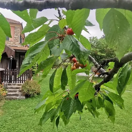 伯格法斯西奥旅馆 3* Ortovero