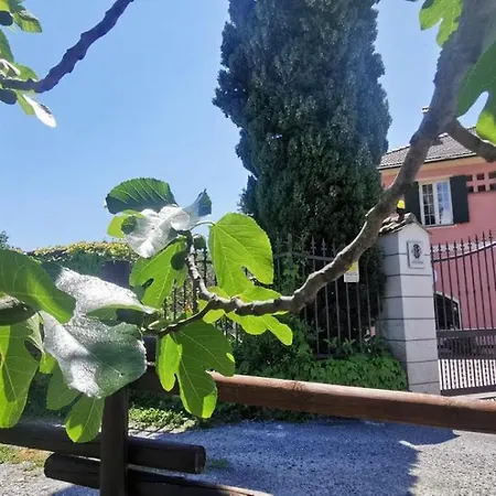 伯格法斯西奥旅馆 3* Ortovero